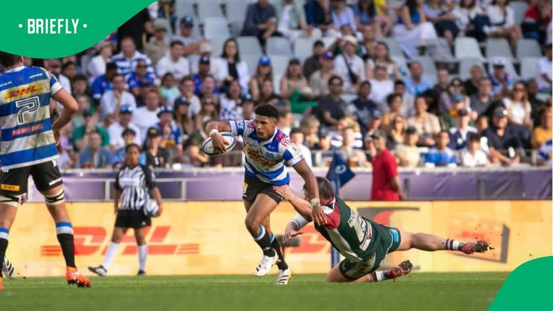 Sacha Feinberg Mngomezulu, Stormers, URC Sacha Feinberg Mngomezulu, Stormers, URC