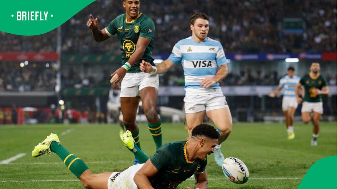 Springboks, South Africa, Sacha Feinberg-Mngomezulu, Rugby Championship