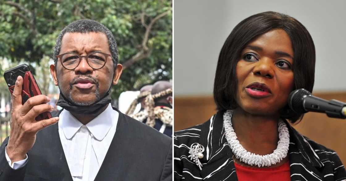 Dali Mpofu annoys Thuli Madonsela after repeating insults Dali Mpofu annoys Thuli Madonsela after repeating insults