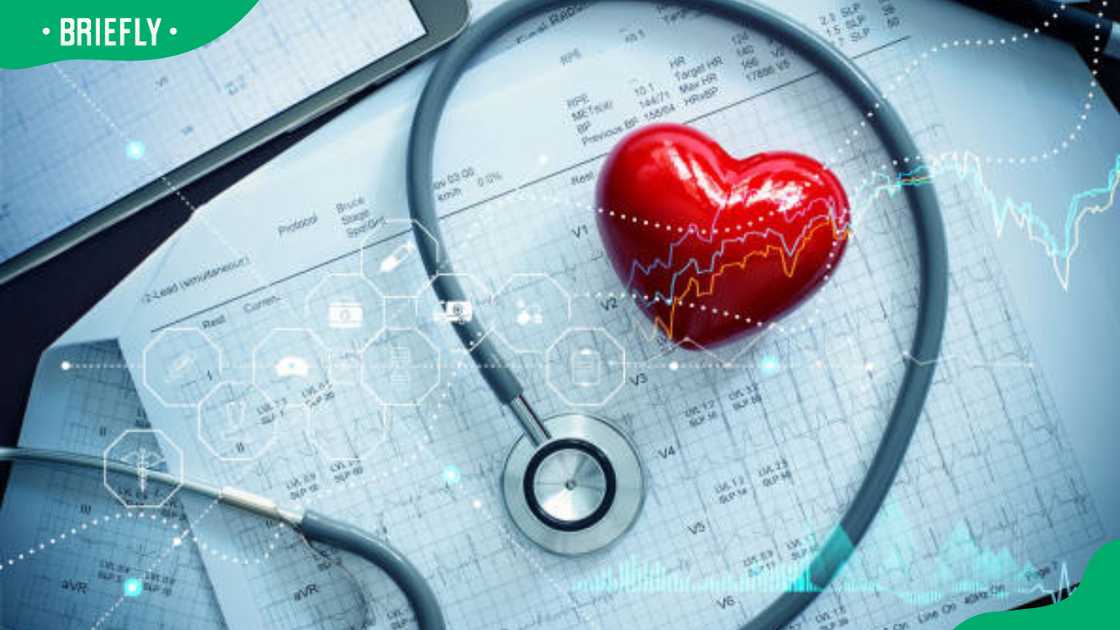 Red heart shape with stethoscope and patient heartbeat report