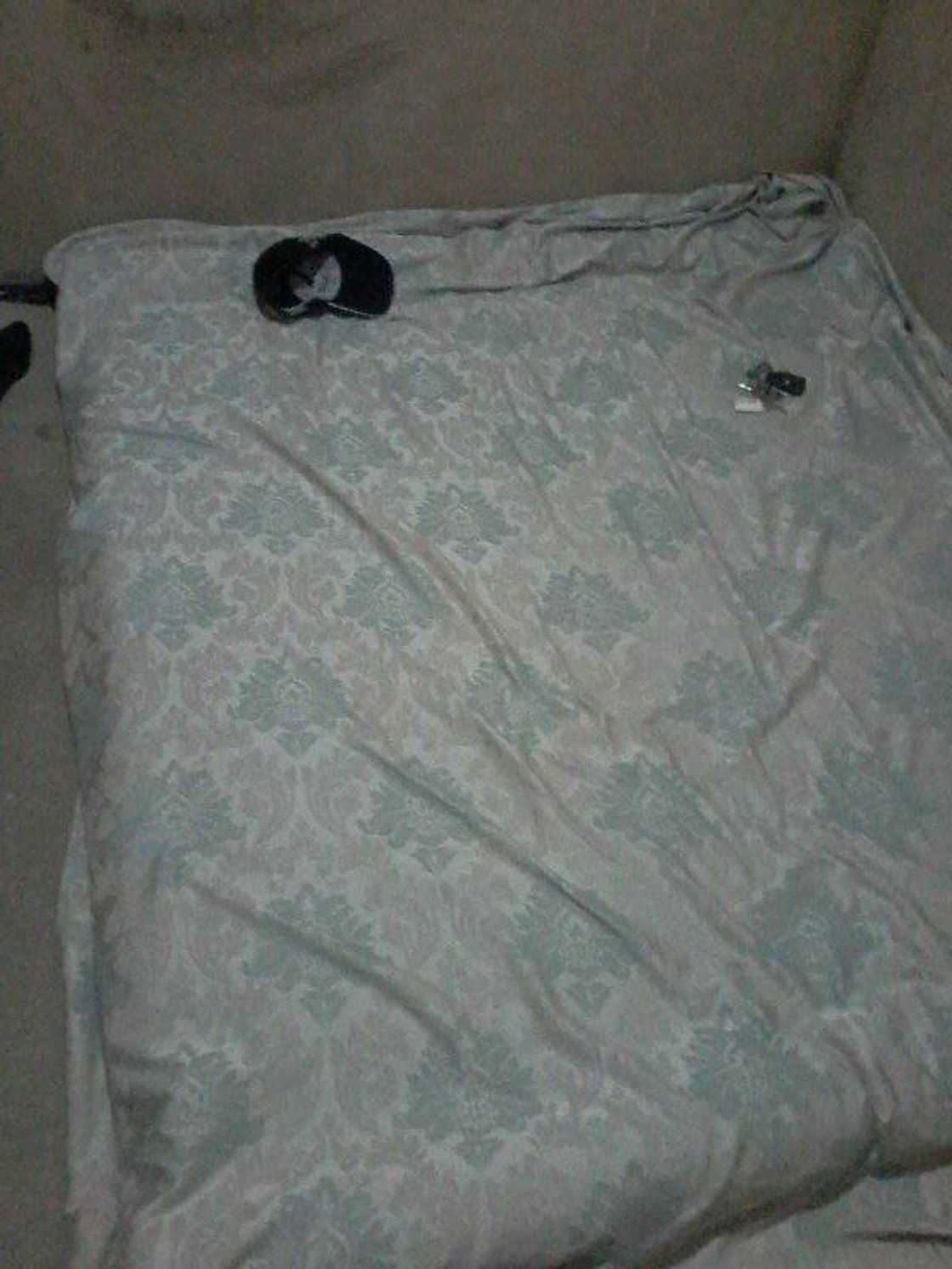 View of her new bed View of her new bed