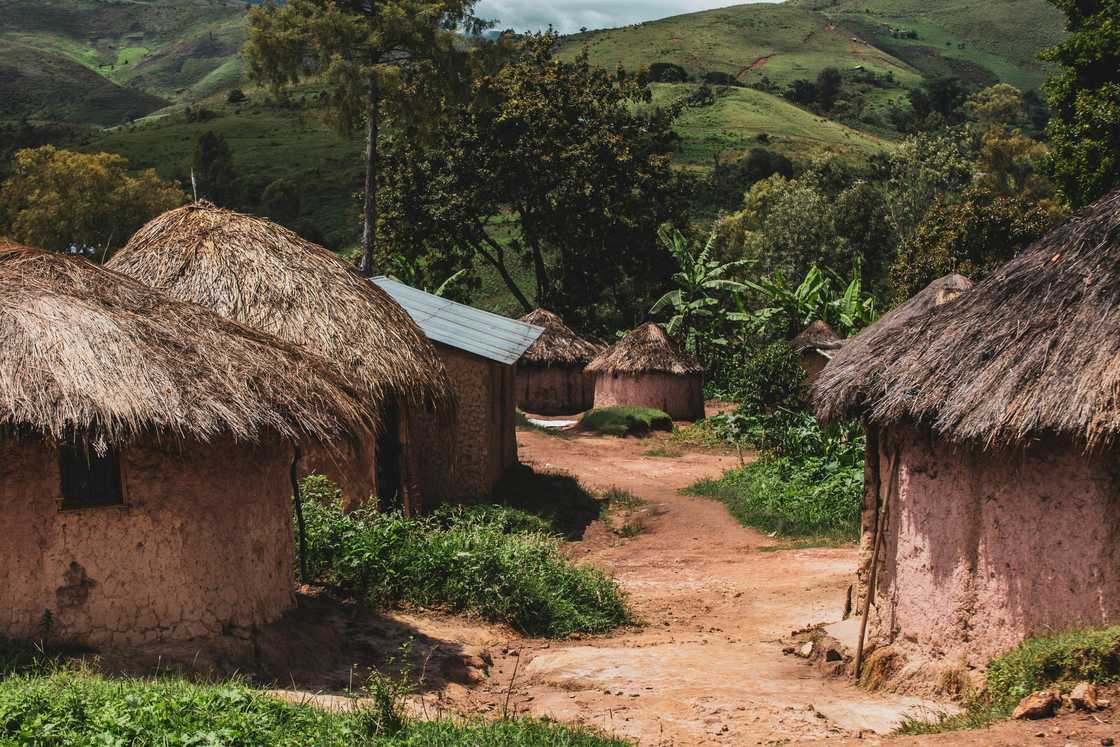 Monkeys can be associated with witchcraft in some cultures