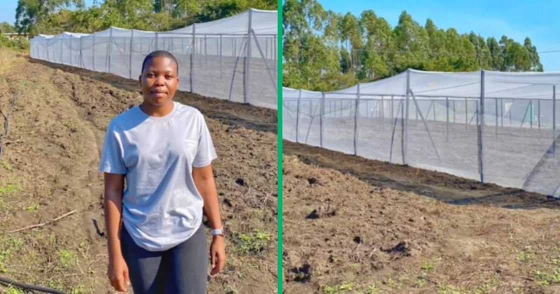 Farmer from KwaZulu-Natal showcases progress made on her farm. Farmer from KwaZulu-Natal showcases progress made on her farm.