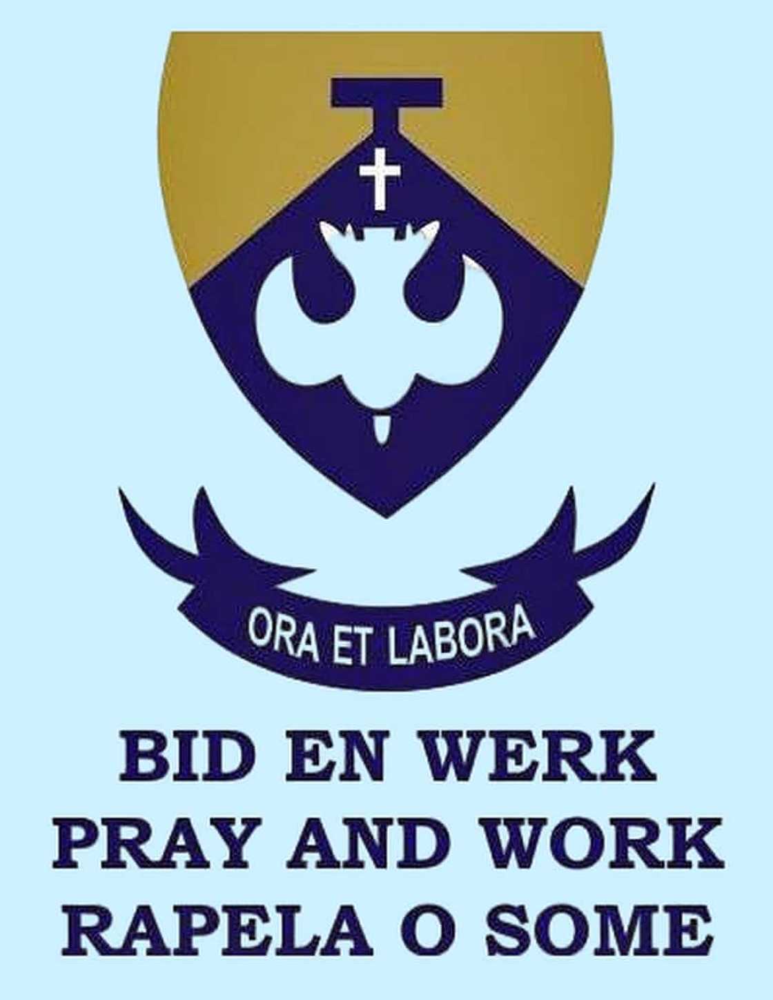 military schools for troubled youth military schools for troubled youth