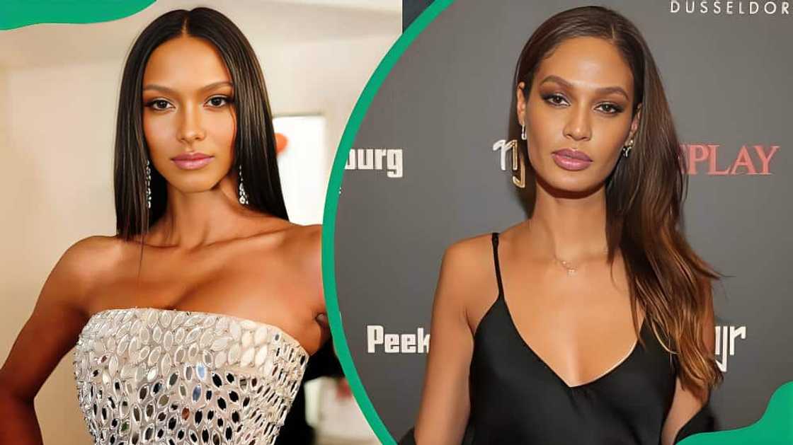 highest-paid model highest-paid model