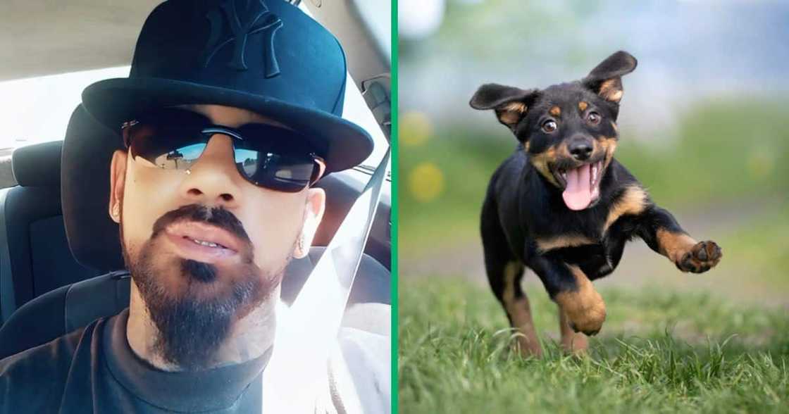 A man shared a video of his dog running away with his car keys as he was about to go to church on Good Friday. A man shared a video of his dog running away with his car keys as he was about to go to church on Good Friday.