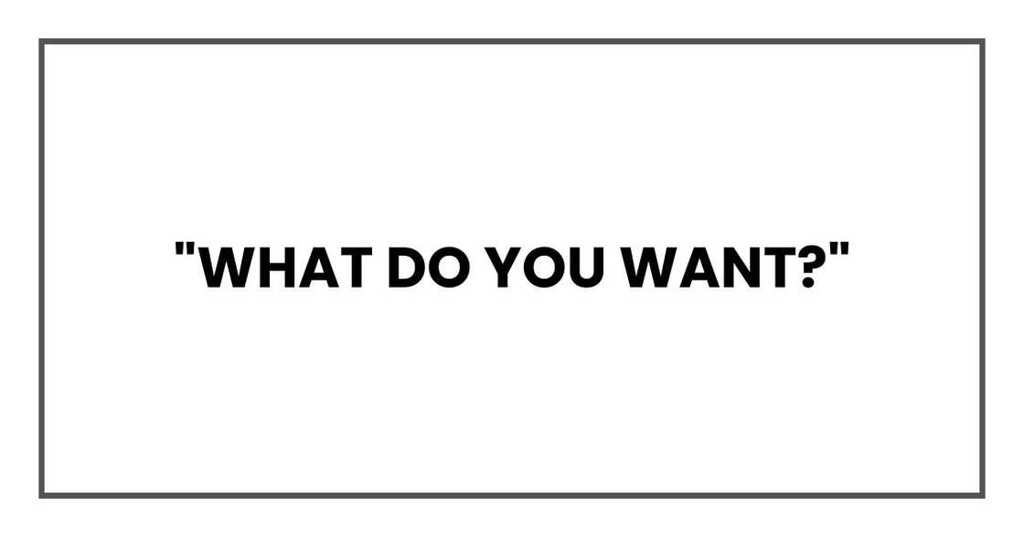 "What do you want?"