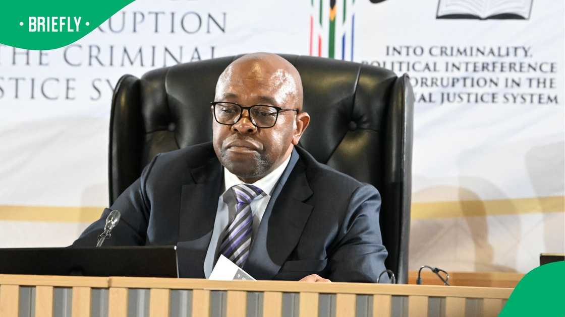 The Madlanga Commission of Inquiry has heard allegations concerning other Ministers of Police