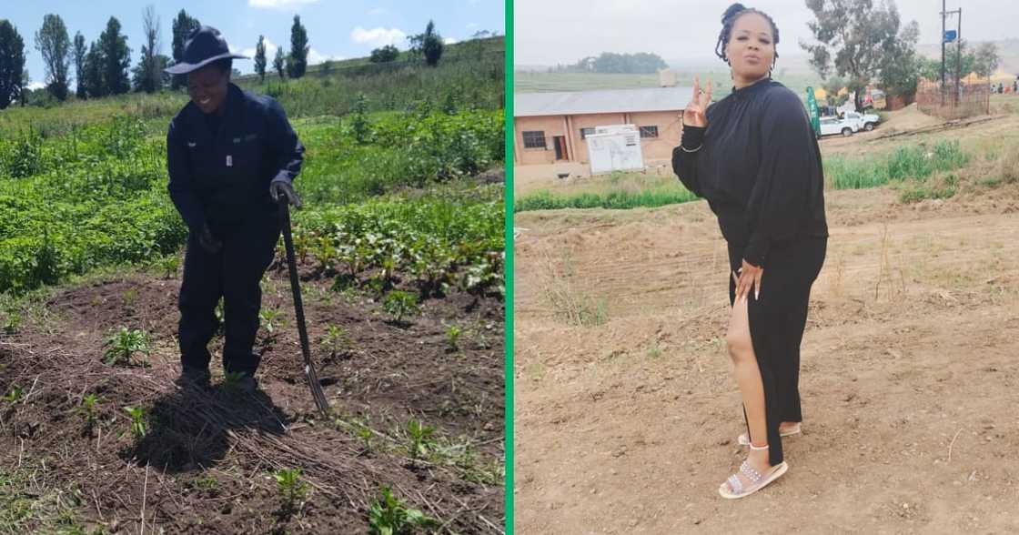 A lady in Gauteng who grinds hard as a farmer and used to work as a shop assistant before. A lady in Gauteng who grinds hard as a farmer and used to work as a shop assistant before.