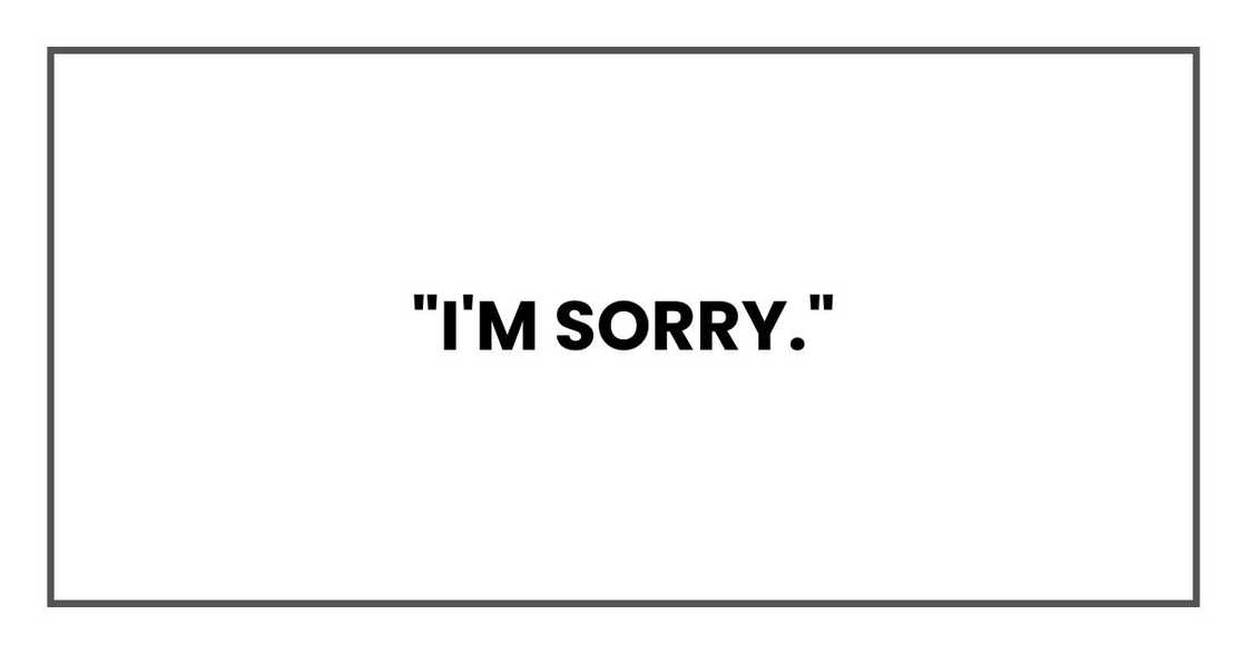 "I'm sorry." "I'm sorry."