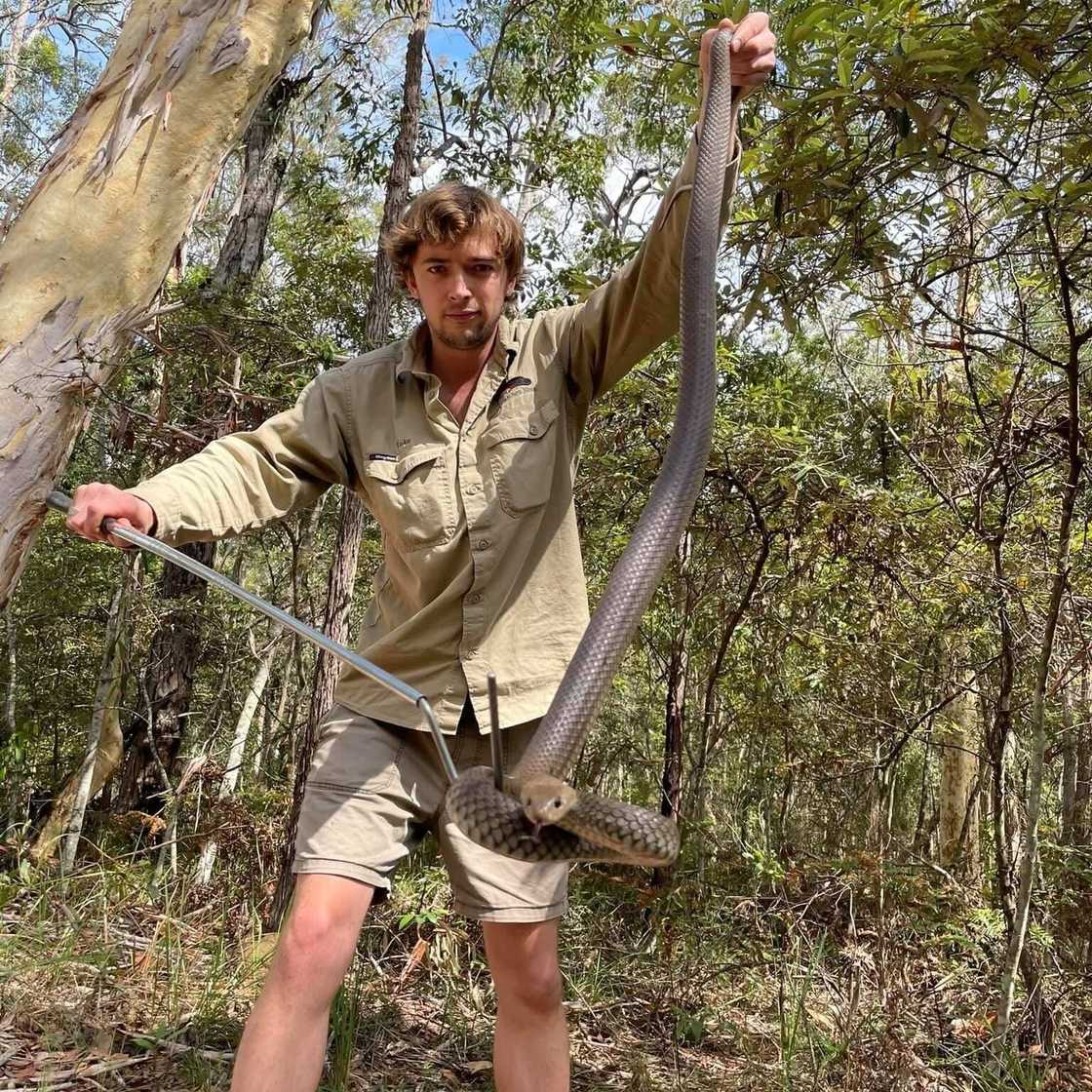 A snake catcher in Noosa Heads, Australia, posed for a picture with a massive reptile that he caught. A snake catcher in Noosa Heads, Australia, posed for a picture with a massive reptile that he caught.