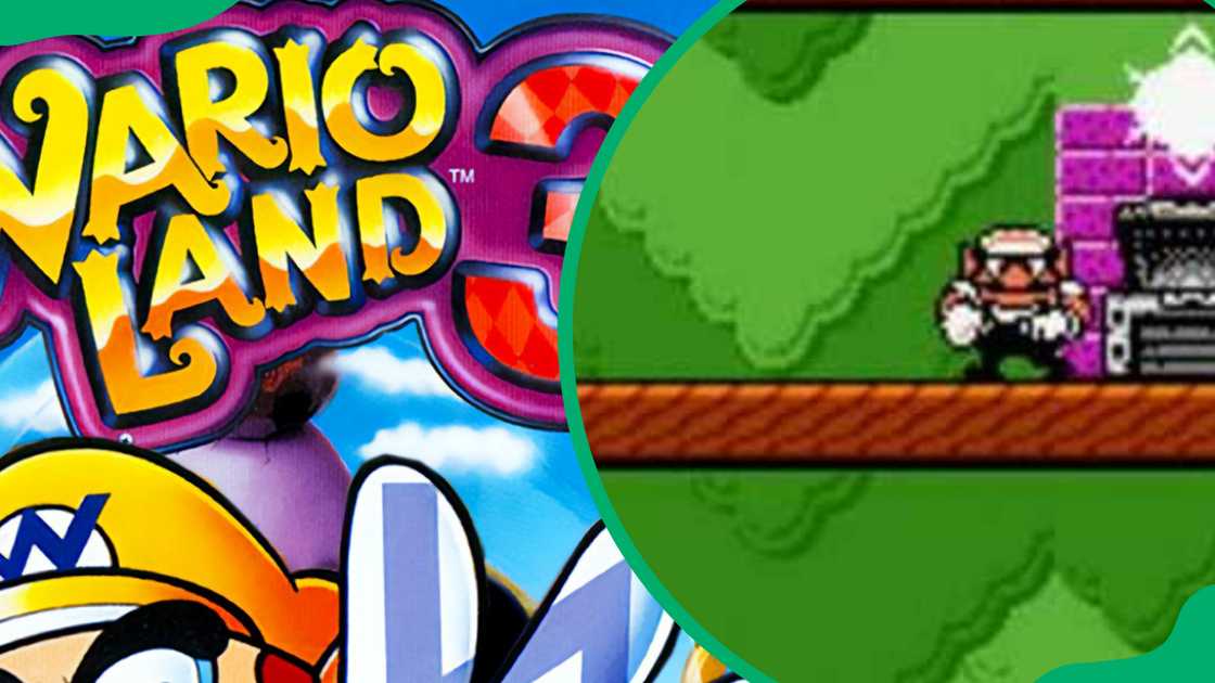 Wario Land 3