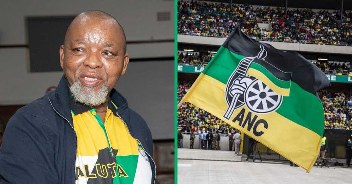 The ANC has issued a statement that excludes Gwede Mantashe from the IEC ROC The ANC has issued a statement that excludes Gwede Mantashe from the IEC ROC