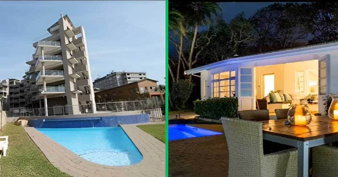 Dolphin View offers affordable luxury Dolphin View offers affordable luxury