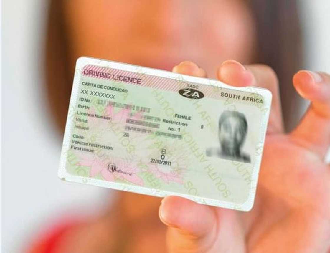 Driver license codes explained