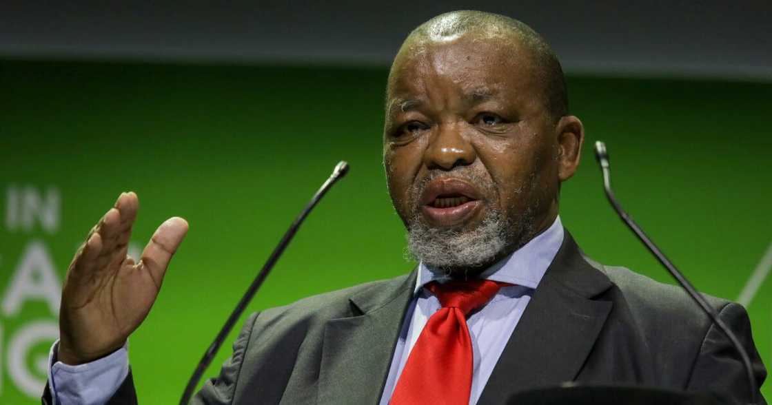 Minister of Energy and Mineral Resources Gwede Mantashe