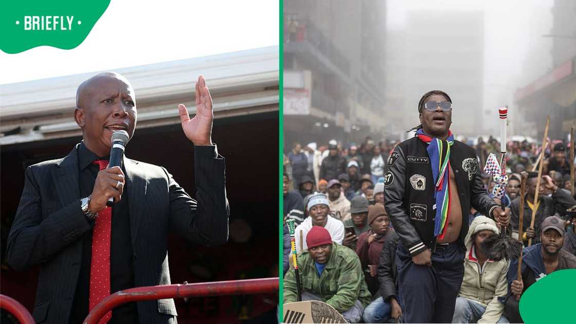 EFF president Julius Malema has filed papers against Ngizwe Mchunu after he accused him of being in contempt of court