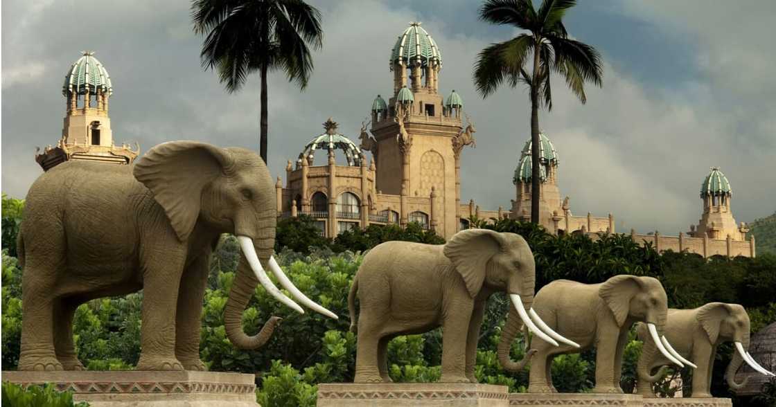 20 Reasons why South Africa is the number 1 tourist destination 20 Reasons why South Africa is the number 1 tourist destination
