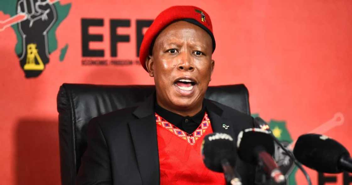 Malema claims Brian Shivambu is innocent despite R4.5 million VBS debt