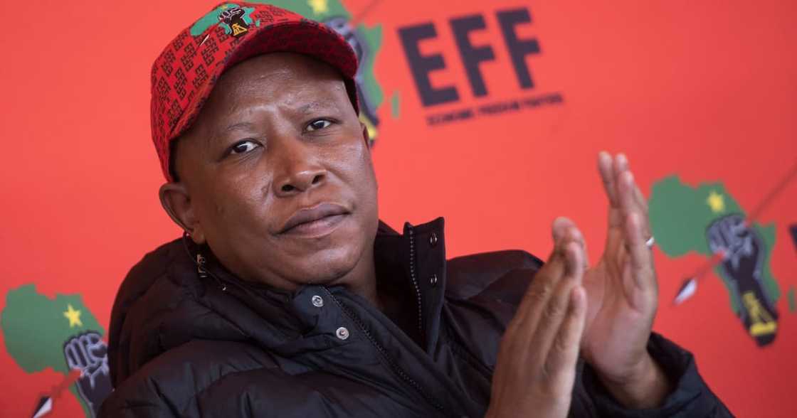 EFF, election results, Julius Malema, coalition EFF, election results, Julius Malema, coalition