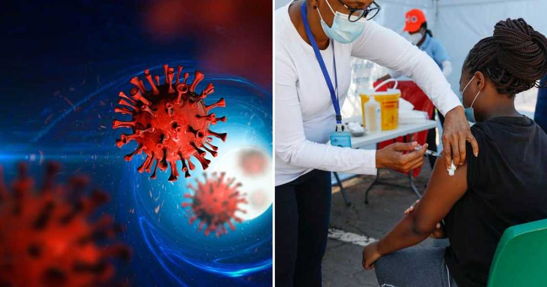 COVID-19 new variant COVID-19 new variant