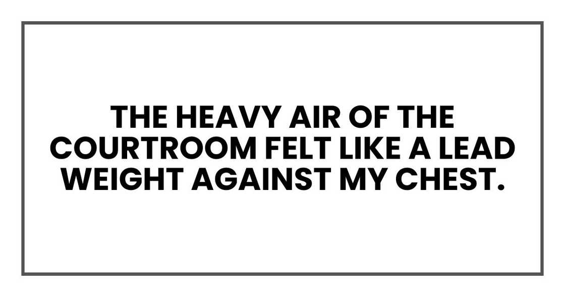 The heavy air of the courtroom felt like a lead weight against my chest.