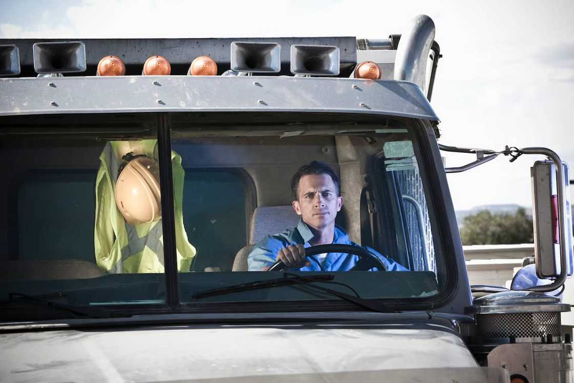 jobs in New Zealand for South African citizens jobs in New Zealand for South African citizens