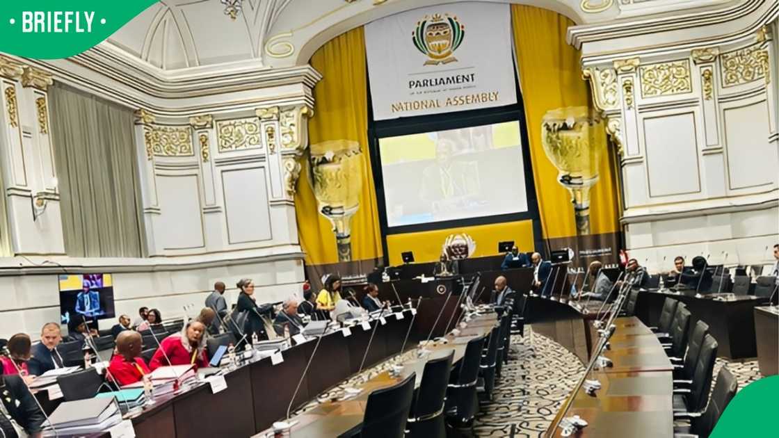 Paul O’Sullivan was appearing before Parliament's Ad Hoc Committee