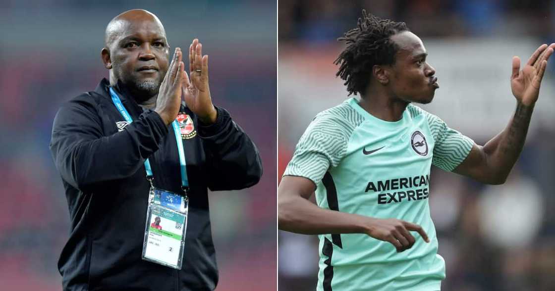 Pitso Mosimane, Percy Tau, Al Ahly, contract talks, future, playing time, African football, Egypt Pitso Mosimane, Percy Tau, Al Ahly, contract talks, future, playing time, African football, Egypt