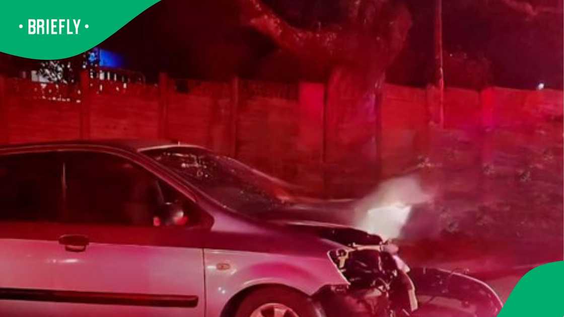 he cause of the accident has not yet been established.