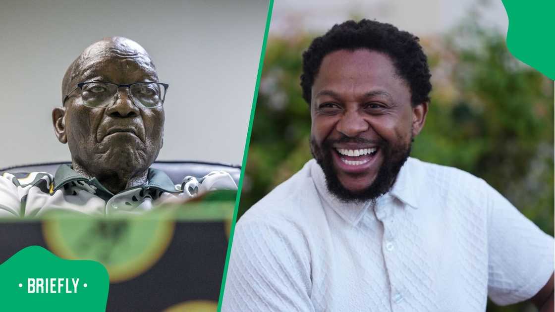 Mbuyiseni Ndlozi calls for Jacob Zuma to lose his privileges