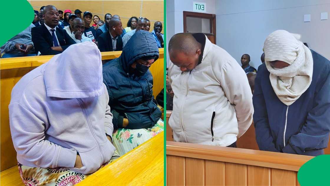 Four suspects facing 17 counts of insurance fraud have appeared in court