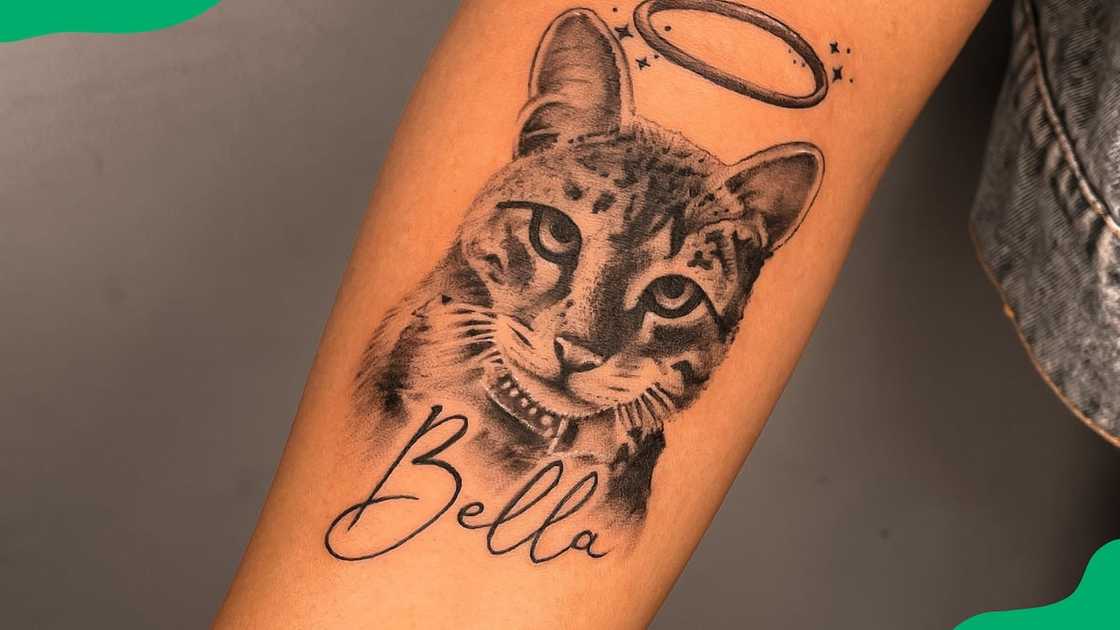 Cat name tattoo Cat name tattoo