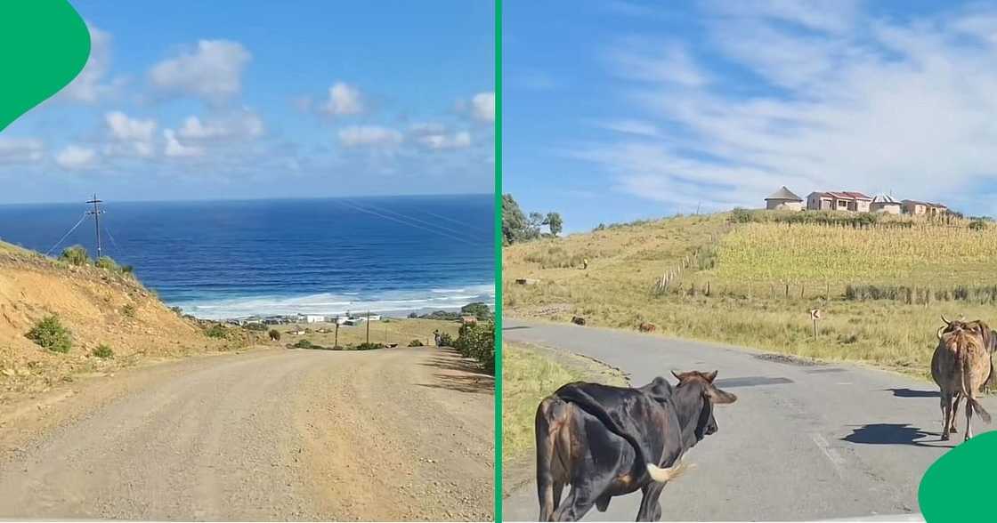 A TikTok video shows the stunning, untouched beauty of Coffee Bay.