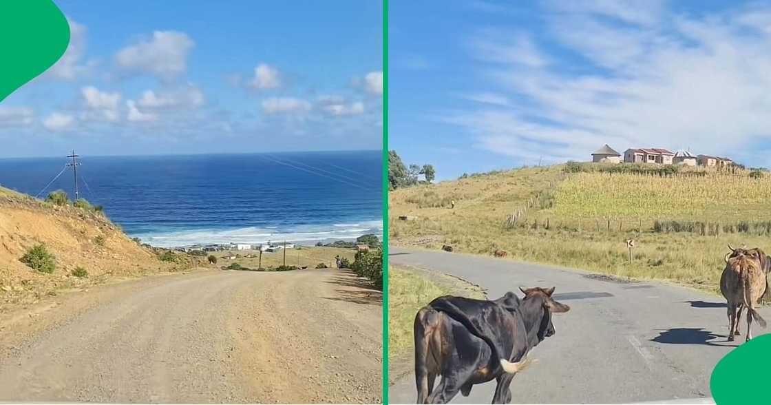 A TikTok video shows the stunning, untouched beauty of Coffee Bay. A TikTok video shows the stunning, untouched beauty of Coffee Bay.
