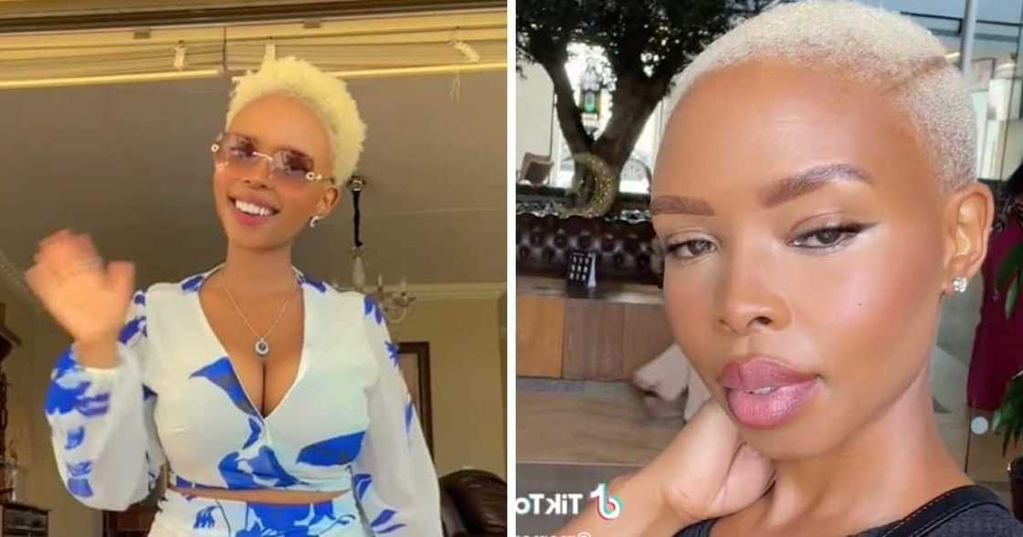 Young woman flexes interior decor skills Young woman flexes interior decor skills