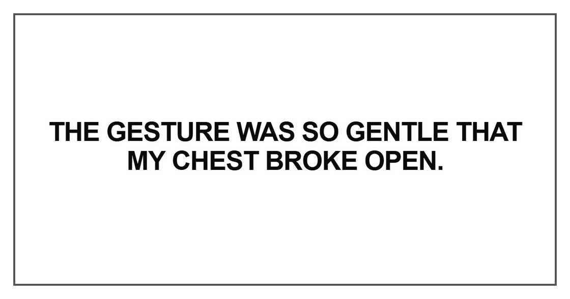 The gesture was so gentle that my chest The gesture was so gentle that my chest