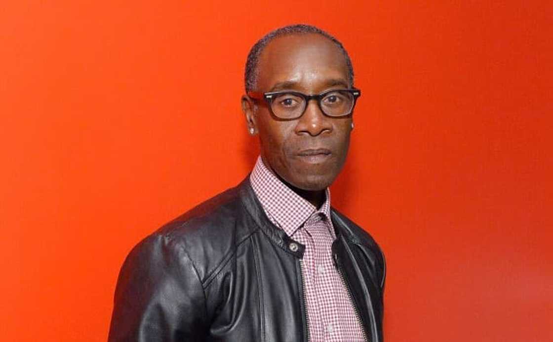 Don Cheadle at a REDCAT Gala Don Cheadle at a REDCAT Gala