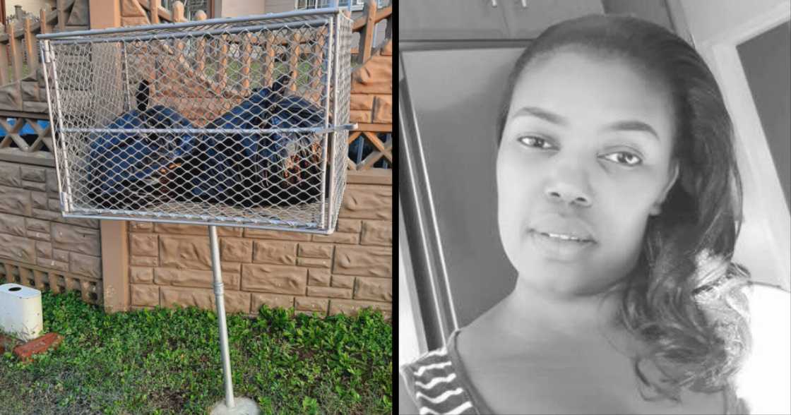 Steel bin, caged bin, monkeys, Durban, boyfriend, girlfriend Steel bin, caged bin, monkeys, Durban, boyfriend, girlfriend