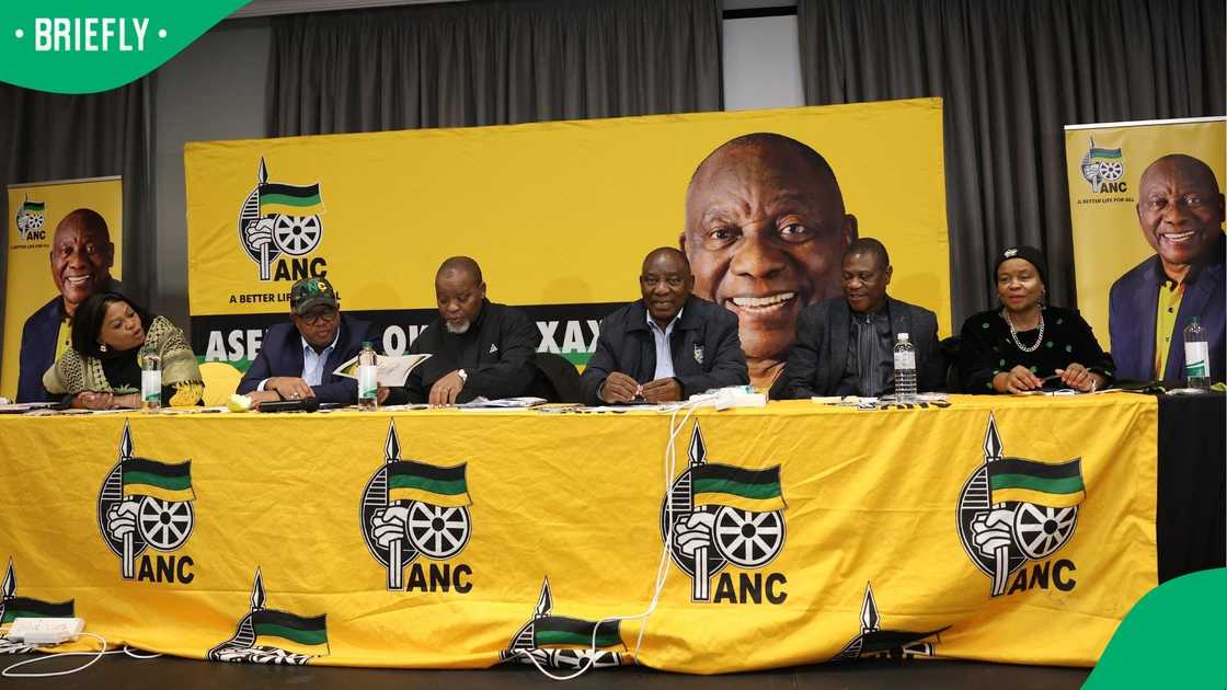 The ANC will elect a new NEC at the 2027 elective conference