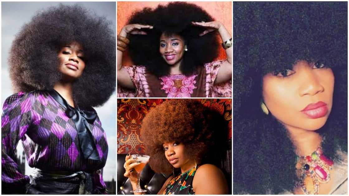 Aevin Dugas afro Aevin Dugas afro