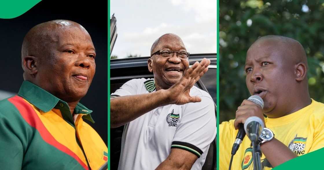 Top 4 ANC members to be expelled: Bantu Holomisa; Julius Malema; Ace Magashule; Jacob Zuma.