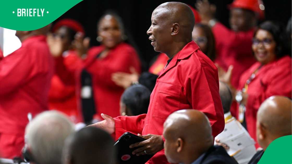 Julius Malema is earning praise online for his stance on the budget speech