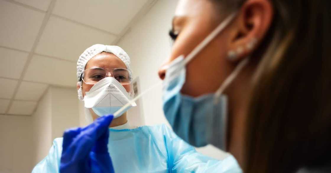 Covid 19, Coronavirus, B.1.1.529 Covid 19, Coronavirus, B.1.1.529