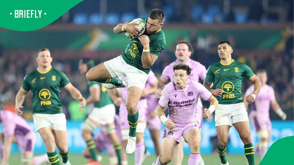 Handre Pollard praised by Rassie Erasmus Handre Pollard praised by Rassie Erasmus