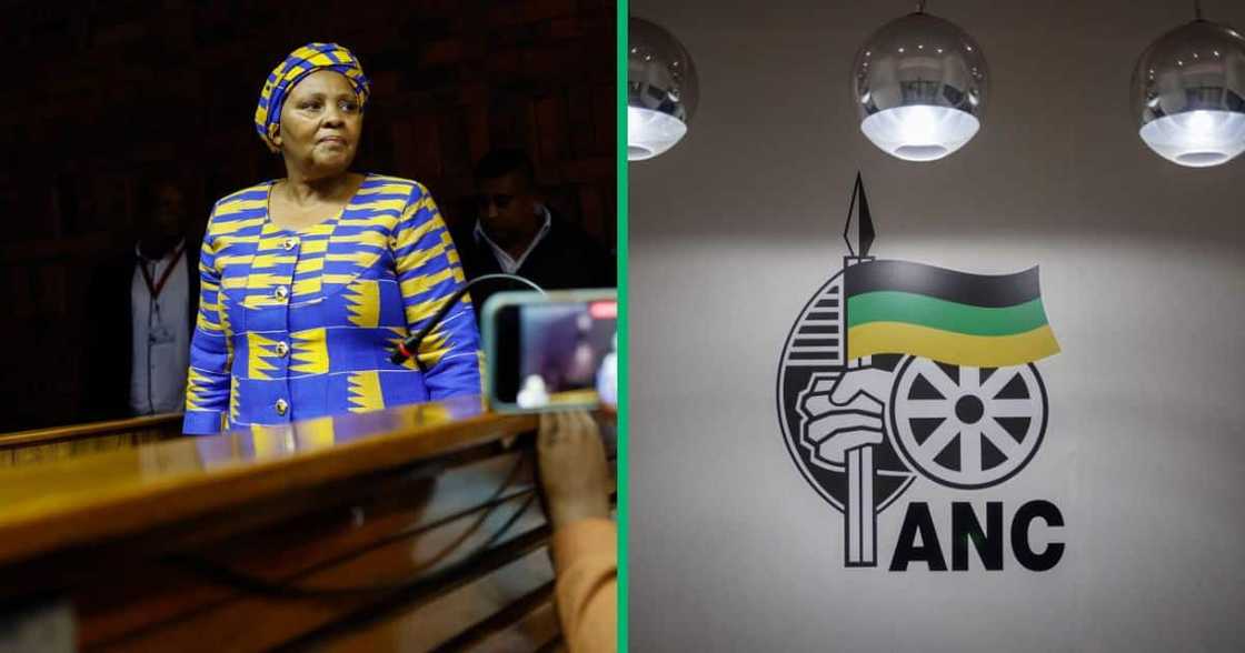 The ANCYL is certain Nosiviwe Mapisa-Nqakula's resignation won't affect their performance at the upcoming elections The ANCYL is certain Nosiviwe Mapisa-Nqakula's resignation won't affect their performance at the upcoming elections