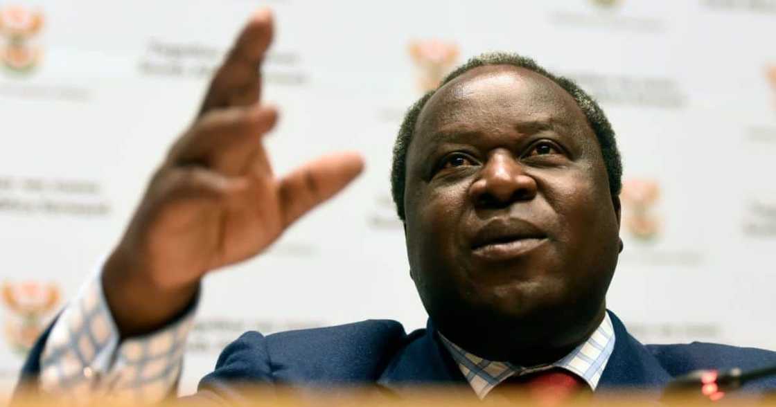 Mzansi, Reacts, Tito Mboweni, Pics, Tumi, Chickens Mzansi, Reacts, Tito Mboweni, Pics, Tumi, Chickens