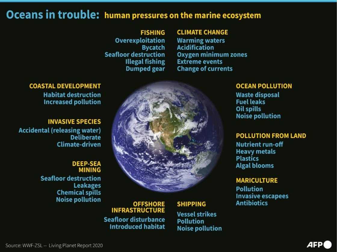 Oceans in trouble Oceans in trouble