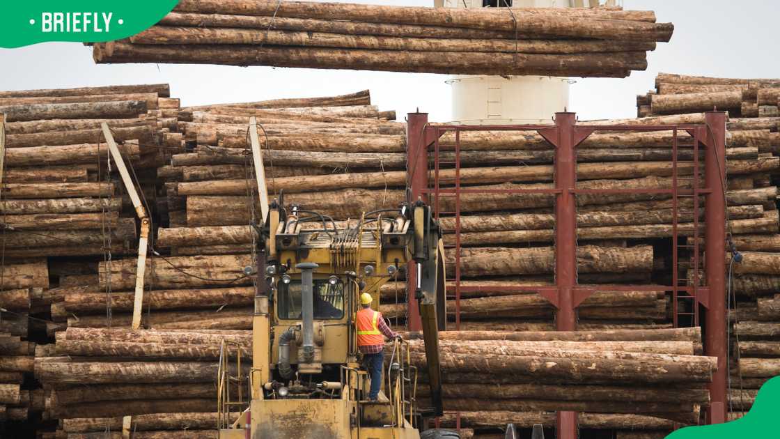 Logging workers