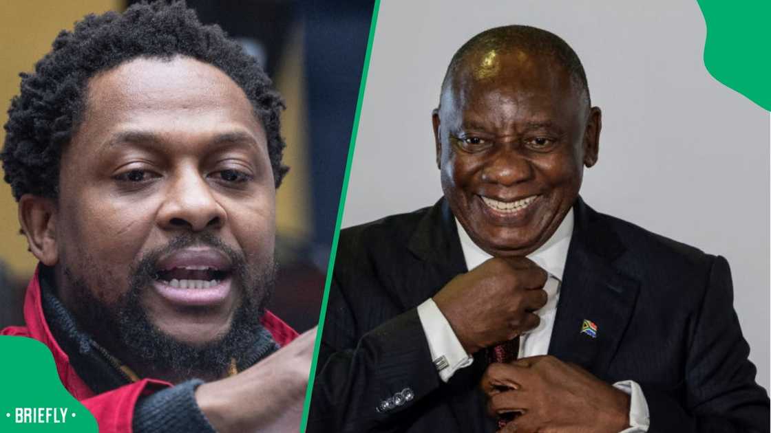 Ndlozi seemingly backed President Ramaphosa. Ndlozi seemingly backed President Ramaphosa.